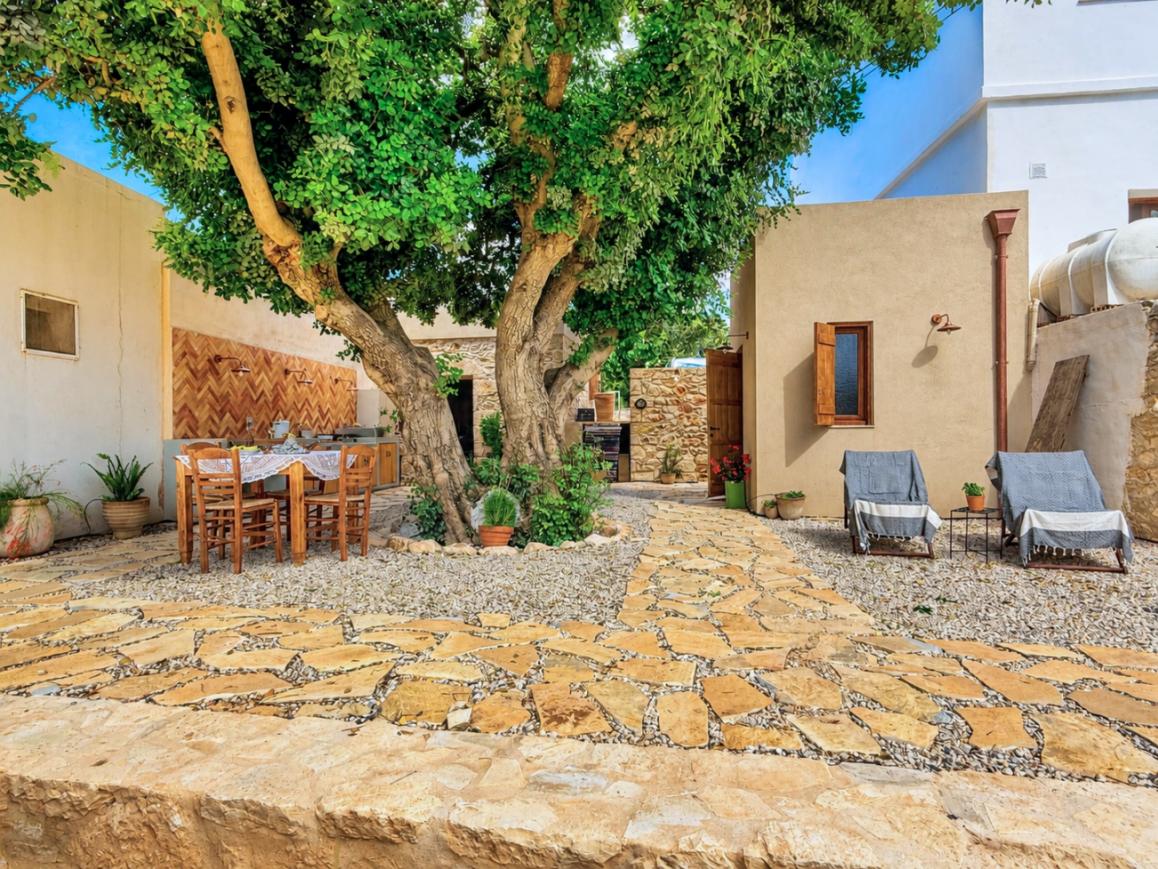 The stone courtyard beneath the twin trunks of the carob